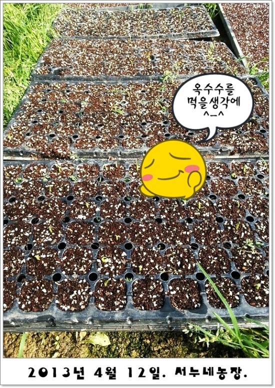 서누네농장 이미지