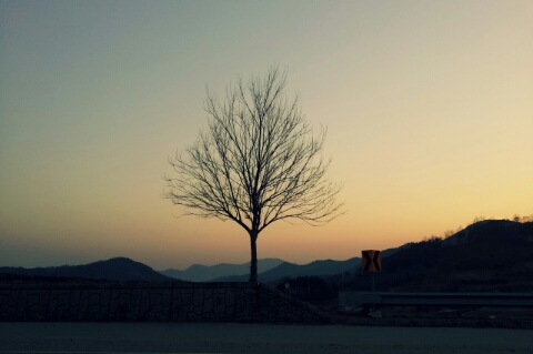 로운트리 이미지