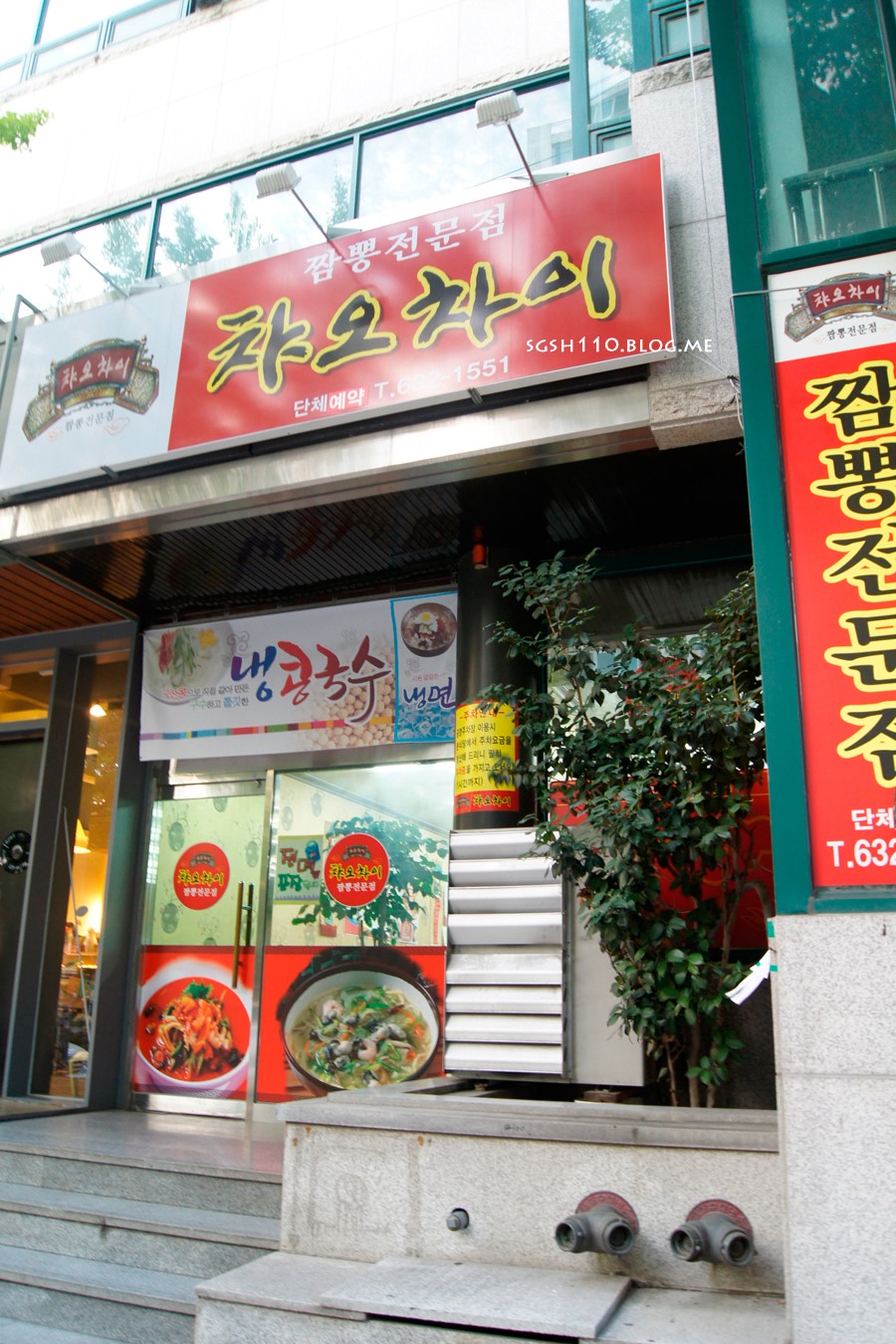 챠오차이 이미지