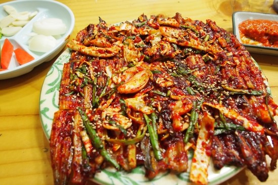 망경장어 이미지