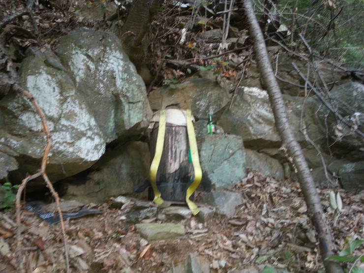 설통신 이미지