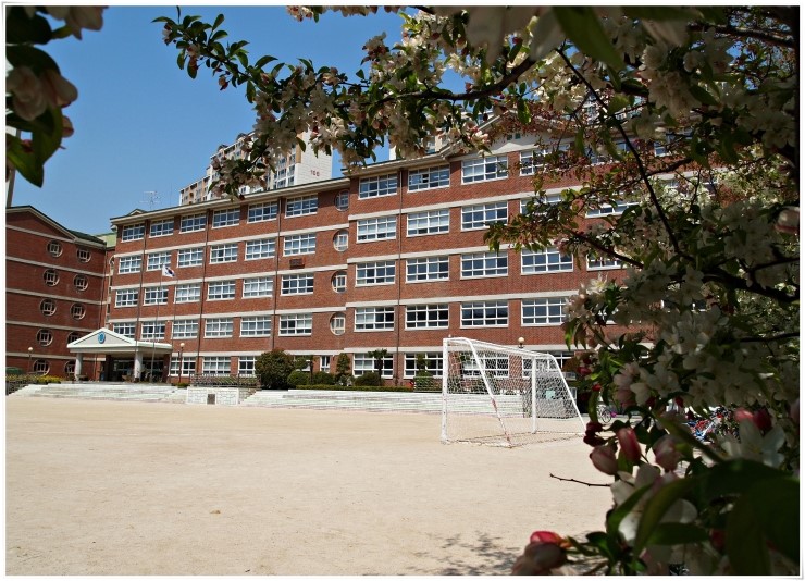 금명초등학교 이미지