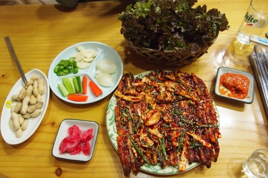 망경장어 이미지