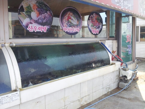 서해회센타 이미지