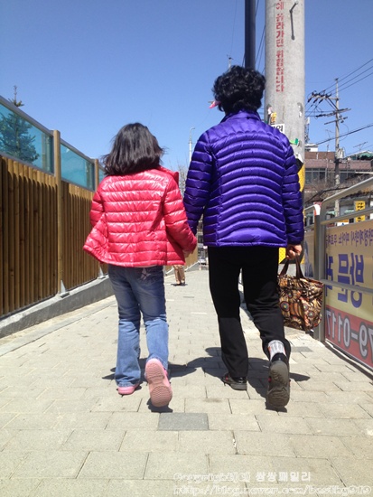 물바우 이미지