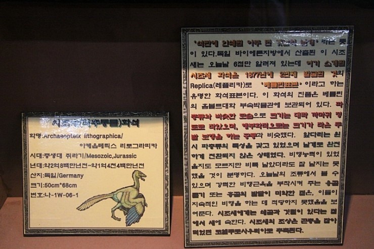 제주화석박물관 이미지