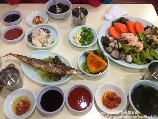 물바우 이미지