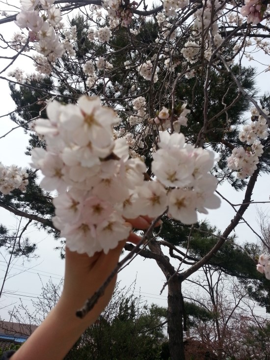 태평반점 이미지