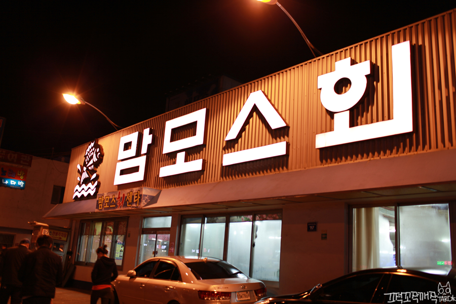 맘모스９호집 이미지