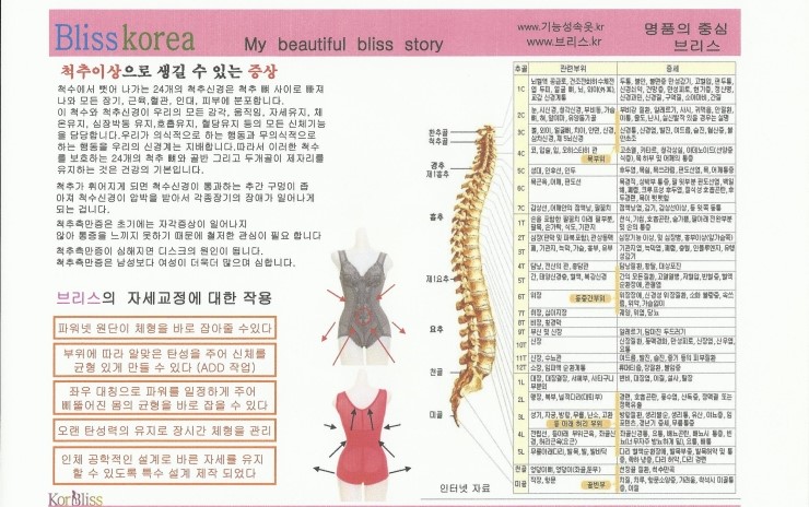 브리스건강기능성속옷 이미지