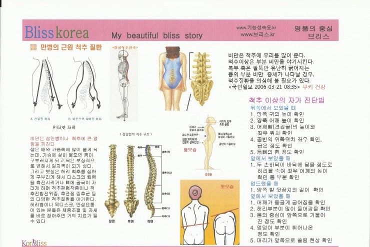 브리스건강기능성속옷 이미지