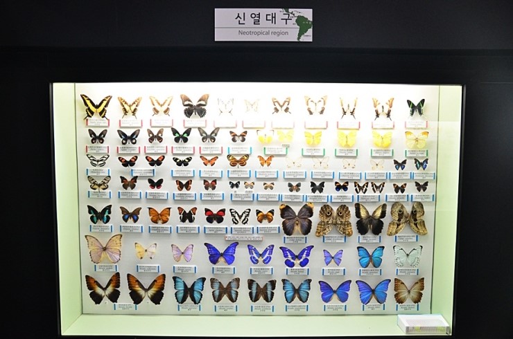거울미로 이미지