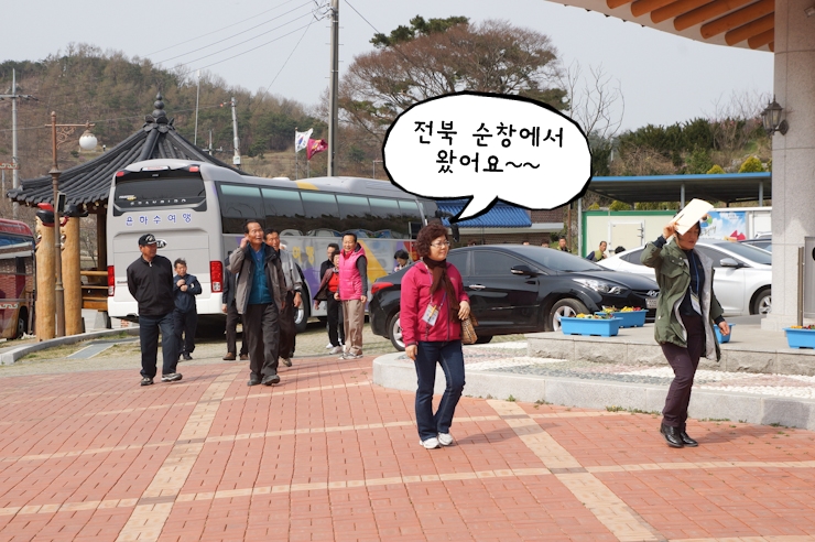 거북이권역 이미지