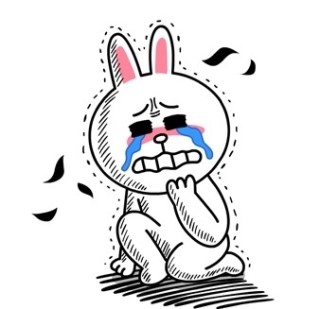 에쓰와이 이미지