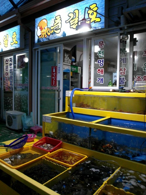 춘길호 이미지