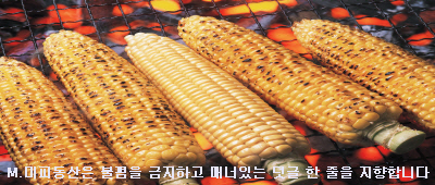 티엘시 이미지