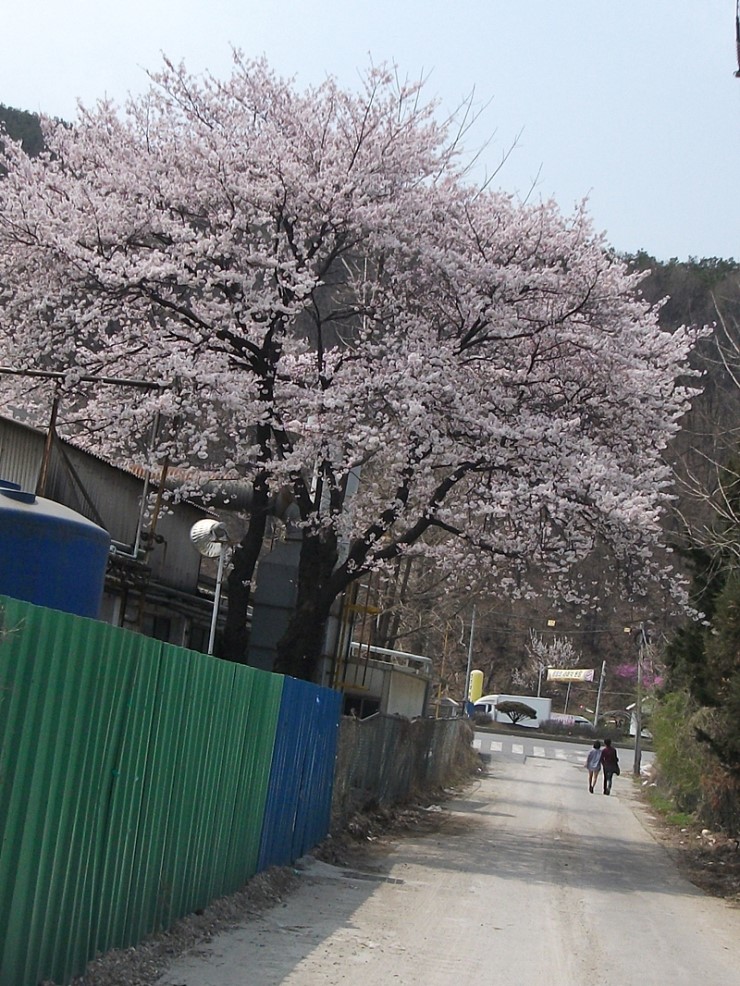 (주)대천향료 이미지