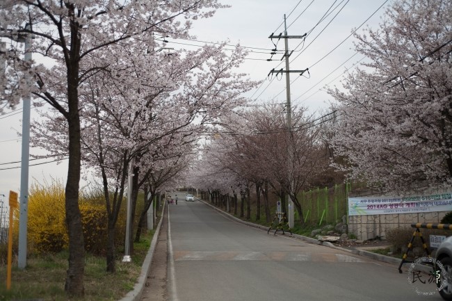정수수산 이미지