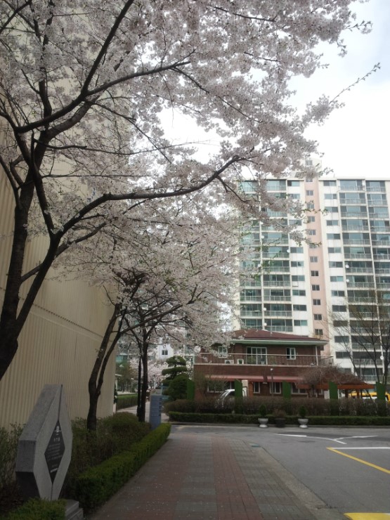 또리문방구 이미지
