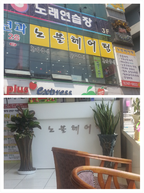 노블헤어팀 이미지