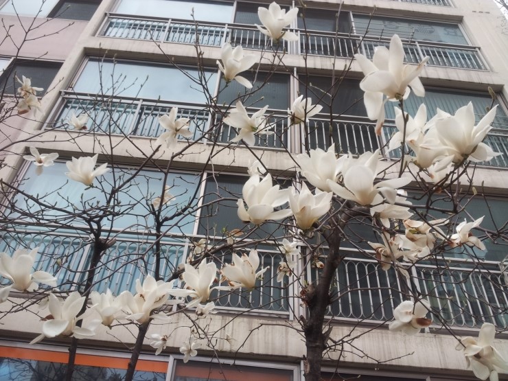 또리문방구 이미지
