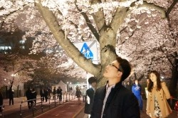 김희선헤어 이미지