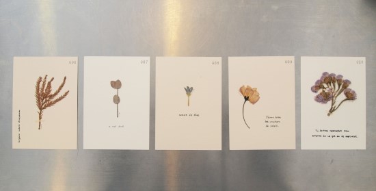나비의꿈 이미지