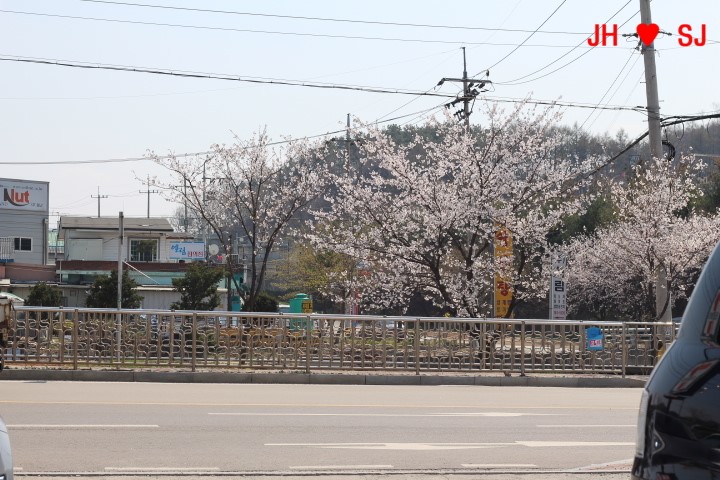 영월보쌈 이미지