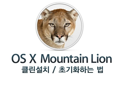 라이언클린 이미지