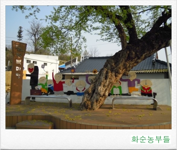 화순장 이미지