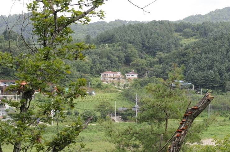 행복펜션 이미지