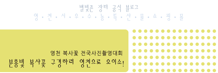 영천오이소 이미지
