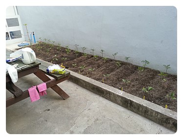 한국종이접기학원 이미지