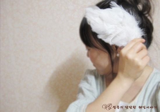 성플 이미지