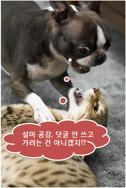 냠냠뽑기 이미지