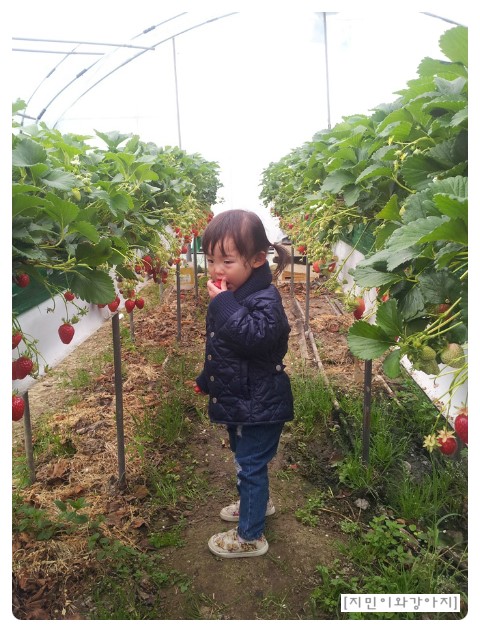 지민농장 이미지