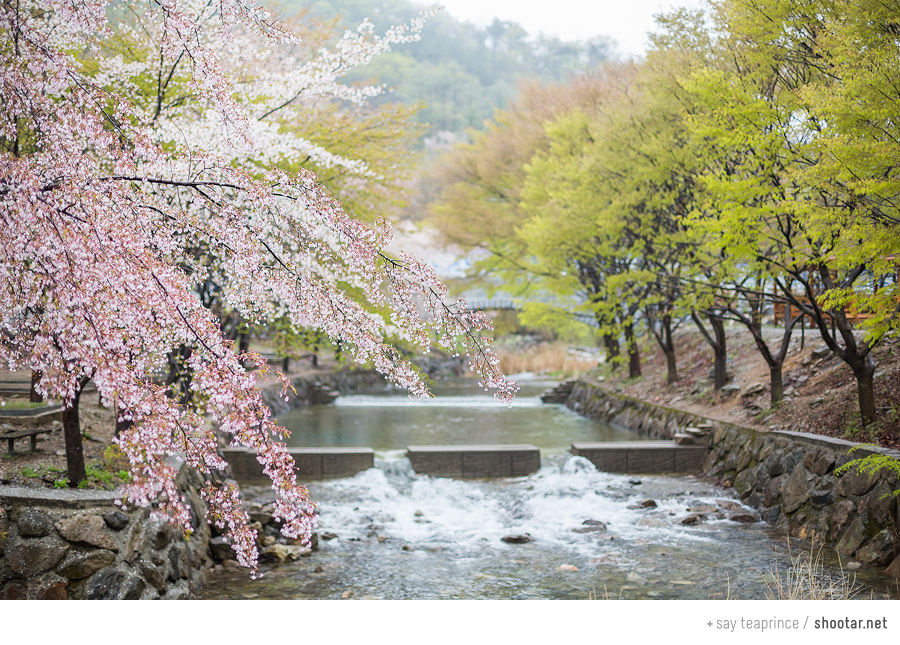 가자고산 이미지