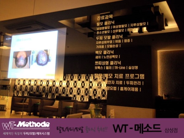 더블유티(WT)메소드 이미지