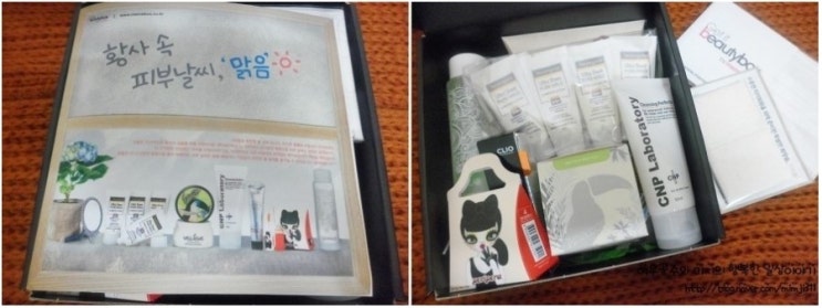 드림씨앤피 이미지