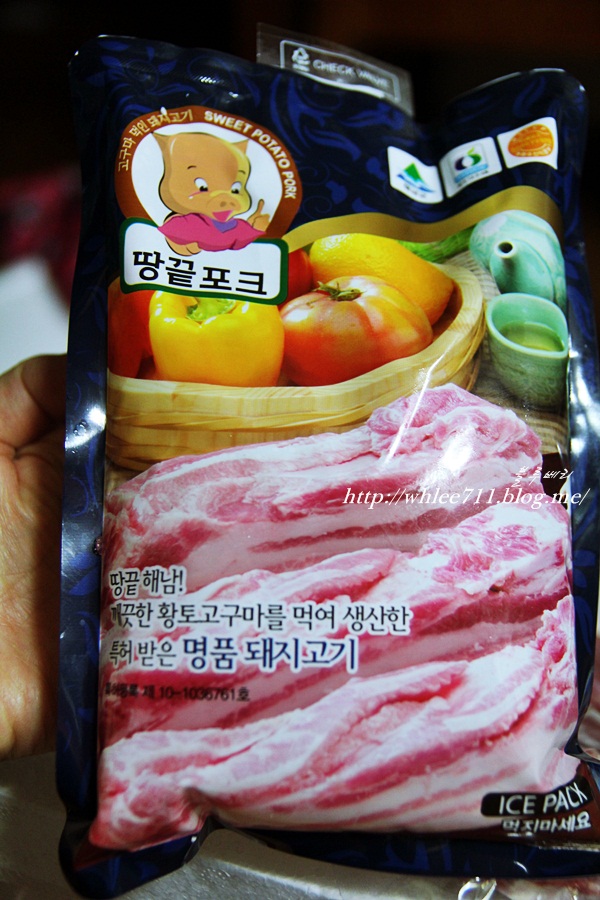 땅끝포크 이미지