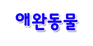 피엠엘 이미지