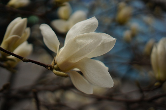동산유통 이미지