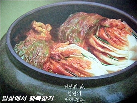 천년보감 이미지
