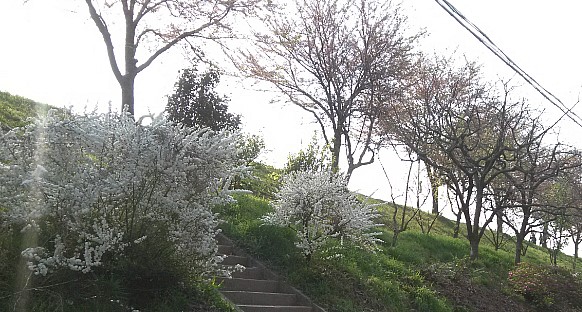 부대찌개동촌 이미지
