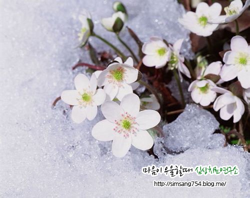 심상치료본원센터 이미지