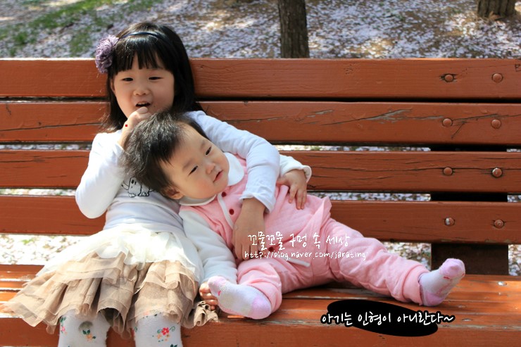 뚱이양이 이미지