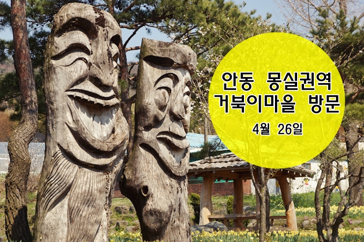 거북이권역 이미지