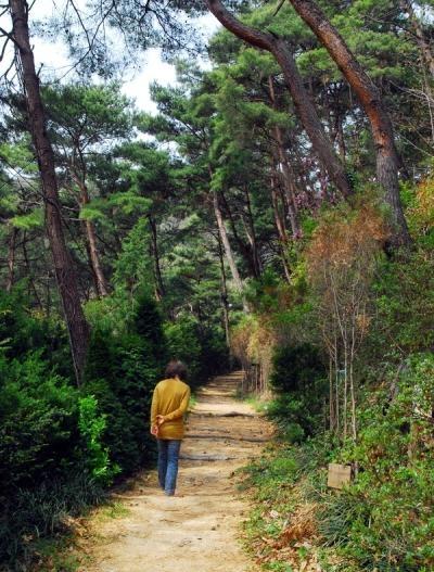 자굴산치유수목원 이미지