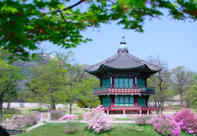 우리도시조경 이미지