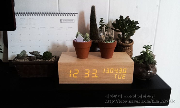 대새환경 이미지